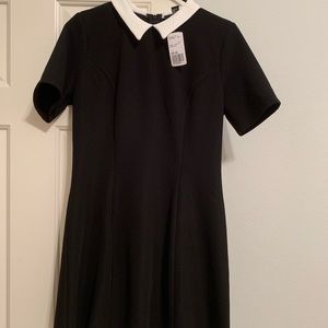 Collared Dress NWT